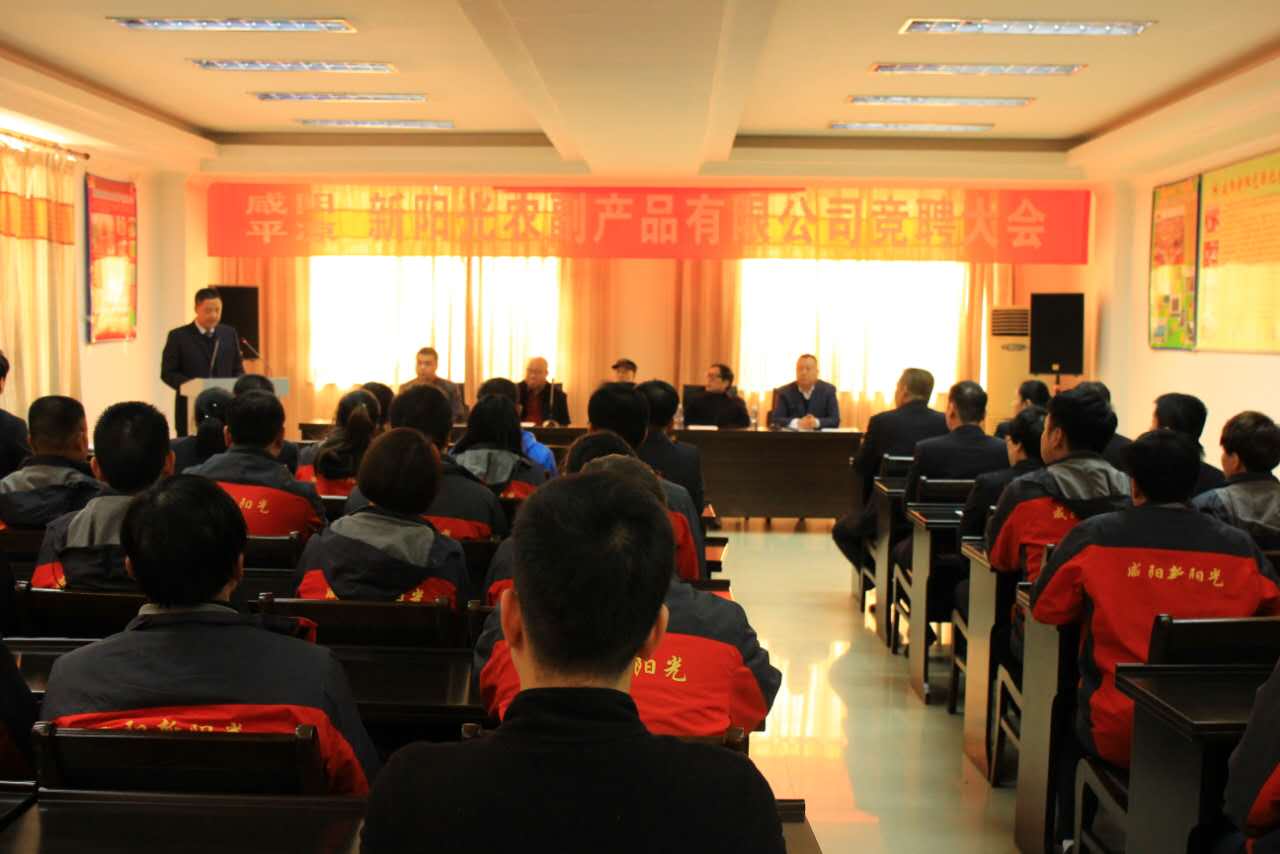 集团咸阳、平凉分公司举行岗位竞聘大会  - 集团动态 - 新疆大湾房产（集团）有限公司