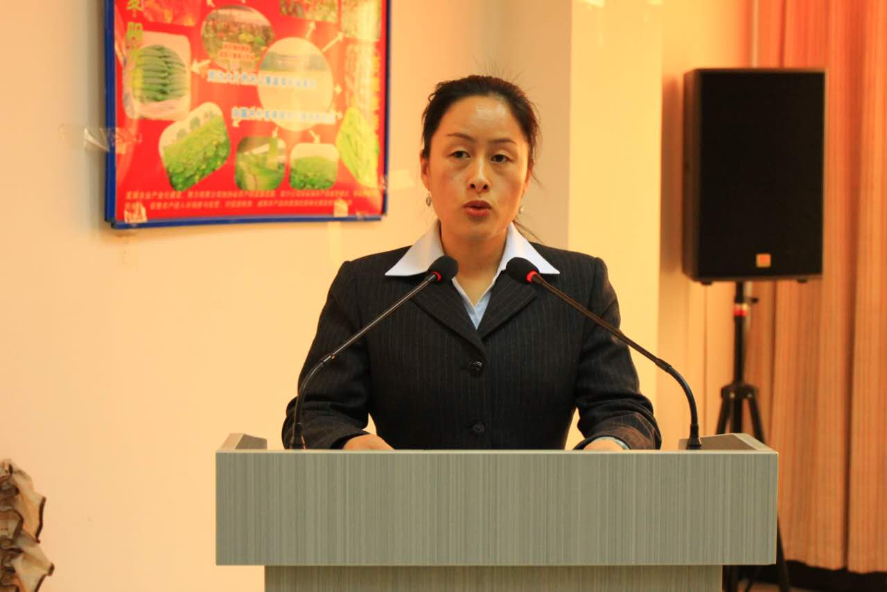 集团咸阳、平凉分公司举行岗位竞聘大会  - 集团动态 - 新疆大湾房产（集团）有限公司